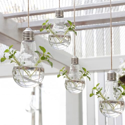 6pcs Hanging Propagation Stations, Glass Bulb Vases with Rope for Indoor