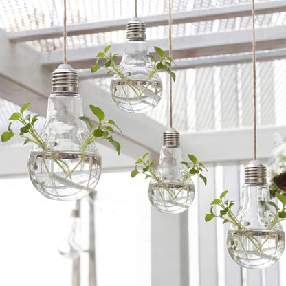 6pcs Hanging Propagation Stations, Glass Bulb Vases with Rope for Indoor