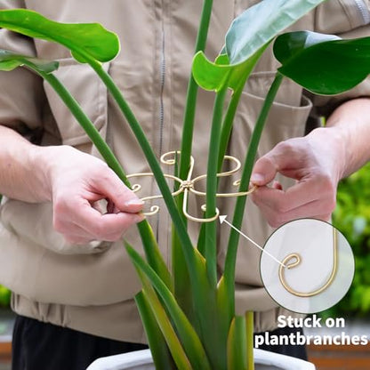 5PCS Monstera Plant Support Hooks - 6.5" Durable Metal Stabilizers - size: 6.5 x 6.5 inches