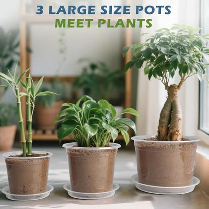 8 Inch Clear Nursery Pots with Saucers, 10 Pack Large Plastic Pot for Plant - size: 8inch-10pcs