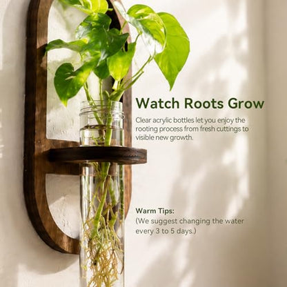 Artilady Plant Propagation Station Wall Hanging, Planter Terrariums Tube - color: Oval