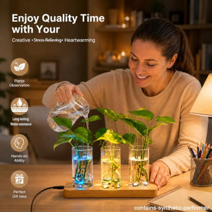 3 Pcs Plant Propagation Terrarium with Wooden Stand