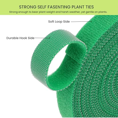 Reusable Plant Ties for Climbing Plants Hook and Loop Green Nylon Plant Straps Tape Double Sided Garden Tie Strap Reusable Adjustable Gentle Support for Vines, Trellis, Tomato (1/2 Inch x 16.4 ft) - size: 1/2 Inch x 16 Feet