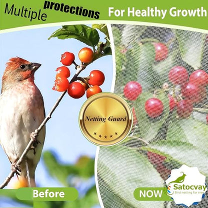 Large Fruit Tree Netting 2 Pack 10x10 FT with Drawstring and Zipper - Easy Install Plant Protection Cover, Reusable Garden Mesh Bag for Blueberry Bushes - Blocks Birds/Insects/Squirrels - size: 10x10 FT