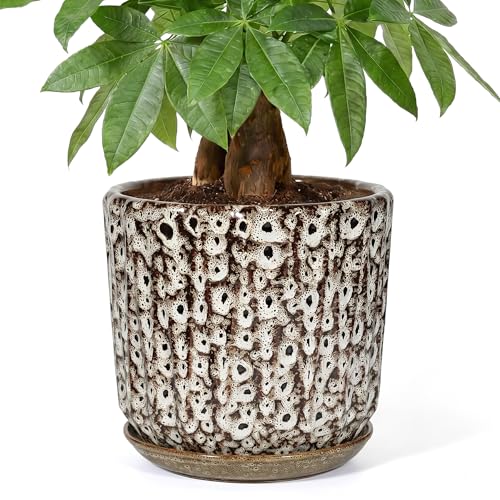 10 Inch Ceramic Planter Pot with Saucer Drainage Leak-Proof Mesh,Flower Pots for Indoor Plants with Gardening Gloves,Ceramic Planter(Spotted-White) - color: Spotted-white, size: 10 Inch