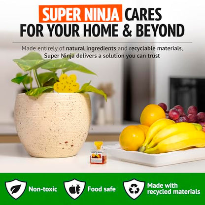 Super Ninja Fruit Fly & Fungus Gnat Traps for House Indoor (2 + 10) - size: 10+2 Pack
