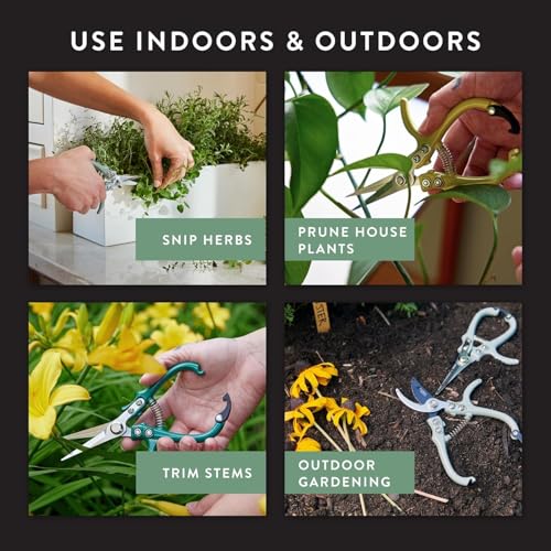 Modern Sprout Pruning Shears - Garden Snips - Herb Scissors - Multi 12-Pack - color: Multicolor - 12pcs