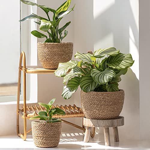 LA JOLIE MUSE Seagrass Basket Planters for Indoor Plants, Flower Pot 3 Pack - color: Brown