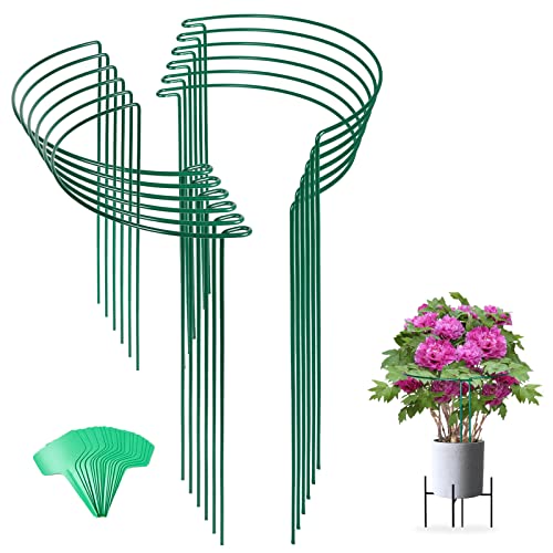 12 Pack 24 Inch Tall Snake Plant Support Stakes with 15 Twist Ties - size: 24" H
