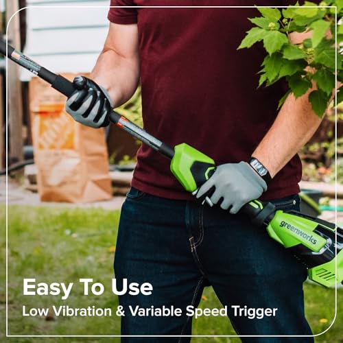 Greenworks 24V 8 in Pole Saw Hedge Trimmer Kit, 2.0 Ah Battery and Charger - size: 8" Combo (2.0Ah), style: 3-Section Polesaw