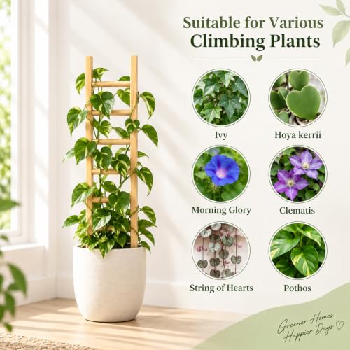 16" Wooden Trellis for Pothos & Climbing Plants - Indoor Support - size: 16" H