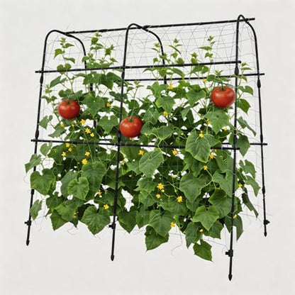 Garden Arch Trellis for Raised Beds, 5.3x5.3FT Plant Support for Cucumbers, Melons, Grapes, Roses & Climbing Vegetables, Outdoor Rust-Resistant Trellis for Vertical Growing, Black - size: 5.3x5.3x2 Ft