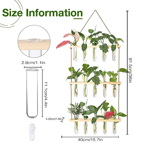 XXXFLOWER Wall Hanging Propagation Station with Wooden Stand 15 Tubes - color: Beige, size: 15 Tube Vases
