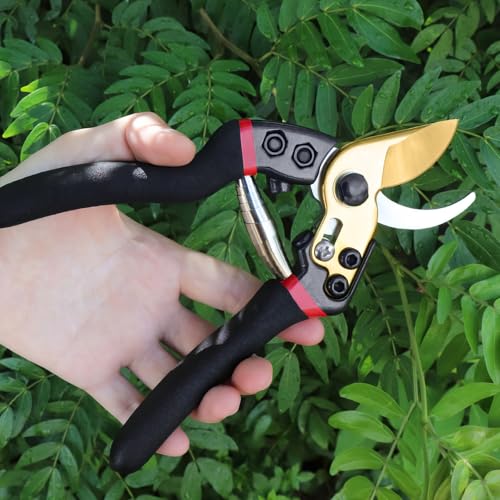 7.7" Bypass Pruning Shears for Gardening, Garden Scissors Tools, Heavy Duty Handheld Pruners Cutter Clippers for Tree Branch, Plant, Flower, Hedge, Pruner Shear Tool, Rust Resistant Sharp Steel Blade - color: Black, size: 7.7"