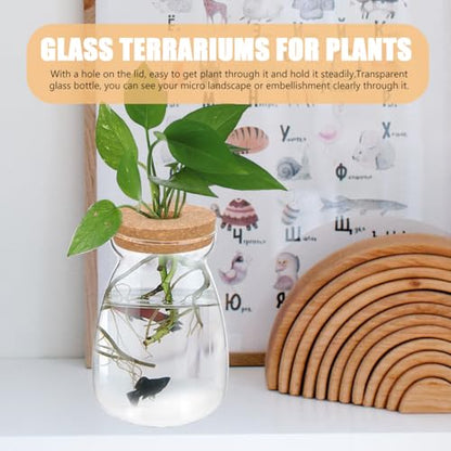 ULTECHNOVO Large Glass Plant Terrarium with Hole Lid - 6.3" Trapezoid Hydroponic Propagation Vase - Clear Desktop Planter Station for Indoor Water Plants, Monstera, Pothos Cuttings - size: 17.6 Ounces