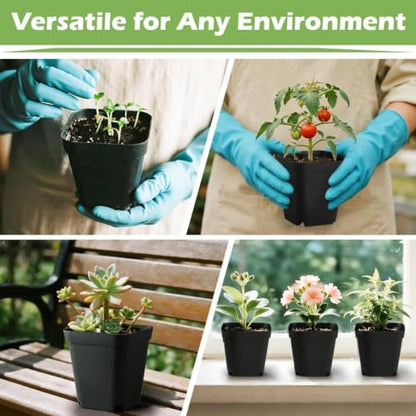 RooTrimmer Square Nursery pots 4 Inches 60Pcs, Seedling Plastic Seeds propogation Growing Pots (Black,4Inches,60Pcs) - color: Black, size: 4 Inch - 60pk