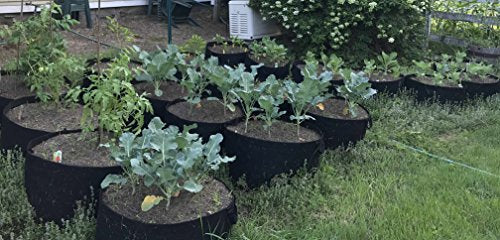 Enroot RootEase Garden Planting Fabric Grow Bag, Heavy Duty Durable Fabric Grow Pots, Perfect Harvest Planter, Raised Bed, Eco-Friendly Grow Bags with Sturdy Handles (30 Gallon, Black)