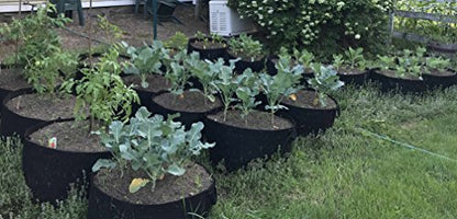 Enroot RootEase Garden Planting Fabric Grow Bag, Heavy Duty Durable Fabric Grow Pots, Perfect Harvest Planter, Raised Bed, Eco-Friendly Grow Bags with Sturdy Handles (30 Gallon, Black)