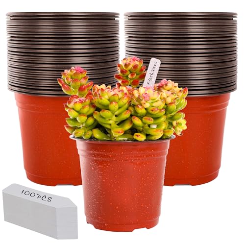 TDHDIKE 6" Plastic Plant Nursery Pots 100Pcs with 100 Labels - size: 6inch100