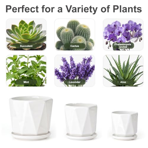 White Ceramic Planter Set of 3 with Drainage and Saucer, Indoor Plant Pots - color: Pure White