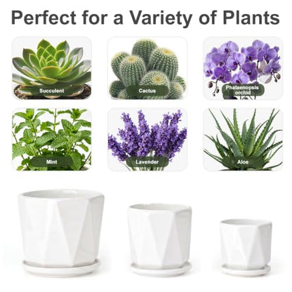 White Ceramic Planter Set of 3 with Drainage and Saucer, Indoor Plant Pots - color: Pure White