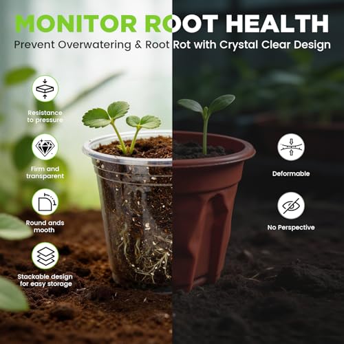 4/5/6 Inch Clear Nursery Pots with Drainage and Saucer for Multiple Crops