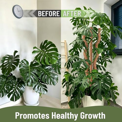 3-in-1 Moss Pole, Bendable 30IN Monstera Plant Support for Indoor-1 Pack