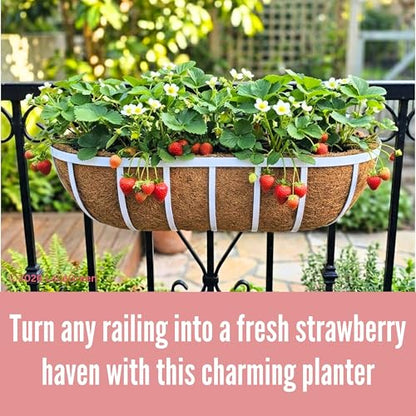 LaLaGreen Deck Railing Planter Boxes (2 Pack, 30") White Metal Rectangular Window Flower Box with Coco Liner, Large Wall Hanging Planter for Outdoor Plants Balcony Fence Deck Rail Porch Patio Garden - size: 30" (76cm) x 2 pack