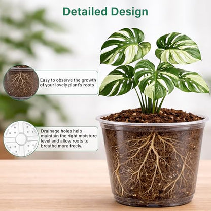 Bluepro Clear Nursery Pots with Drainage, 3.5/4/5/6/8 Inch, 20-Pack - size: 3.5/4/5/6/8 Inch-20Pcs
