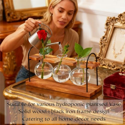 Plant Terrarium with Wooden Stand, Birthday Gift for Women Mom Plant Lover