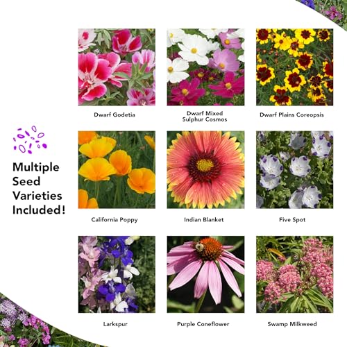 Growtrax Easy-Grow Wildflower Seed Mat - 40 Sq Ft Annual Mix - style: Annual & Perennial Mix