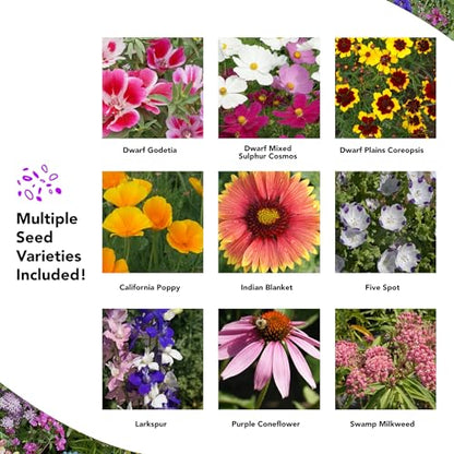 Growtrax Easy-Grow Wildflower Seed Mat - 40 Sq Ft Annual Mix - style: Annual & Perennial Mix