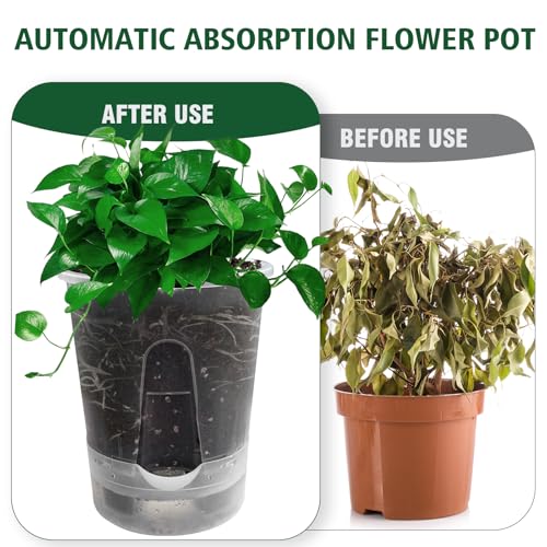 Cdd's Path Upgraded 5-Pack 6 Inch Naked Root Planter Self Watering Pots Set, Plant Pots with Holes for Indoor/Outdoor Plants with Watering Hole/Reservoir and Air Pipes, Clear - size: 5 Pack-6 inch(Upgraded )