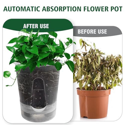 Cdd's Path Upgraded 5-Pack 6 Inch Naked Root Planter Self Watering Pots Set, Plant Pots with Holes for Indoor/Outdoor Plants with Watering Hole/Reservoir and Air Pipes, Clear - size: 5 Pack-6 inch(Upgraded )