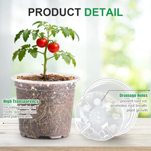 RooTrimmer 200 Pack 4 Inch Clear Plant pots with Drainage Holes, Transparent Nursery Seeding Pots, Flexile Seeds Starter Pots, Seeds Germination (4Inch,200P,Clear) - size: 4 Inch 200P