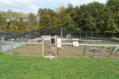 Poultry Netting 1" or 2" Mesh Heavy Knotted Nets Aviary Gamefowl Quail Chicken Bird Block Net Long Lasting Break/Burst 85/245 lb Polyethylene 8-10 Year Lifespan (25' X 25', 1) - size: 25' X 25'