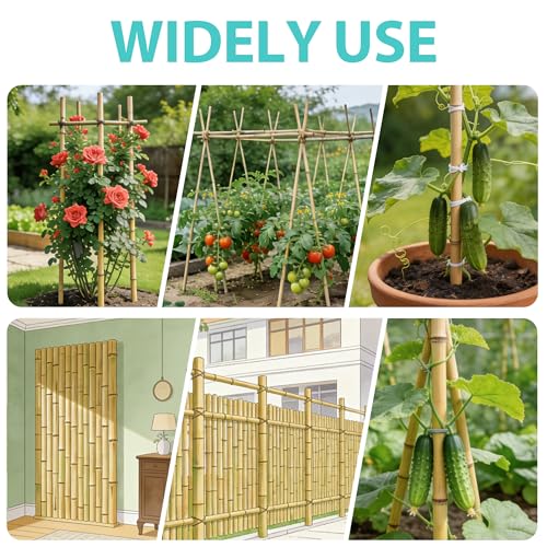 50pcs Bamboo Stakes 8FT, Garden Stakes 94inch Specifically Designed for Climbing Plants, Ideal for Tomatoes, Beans, Cucumbers, Peppers, Vines, and More Plant Growth - size: 8FT, 50pcs