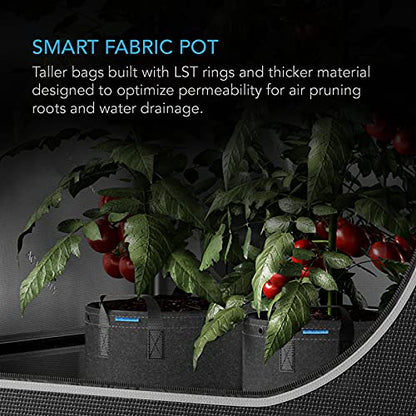 AC Infinity Heavy-Duty 500G Fabric Pots, 5 Gallon Grow Bags 5-Pack - size: 5 Gallon