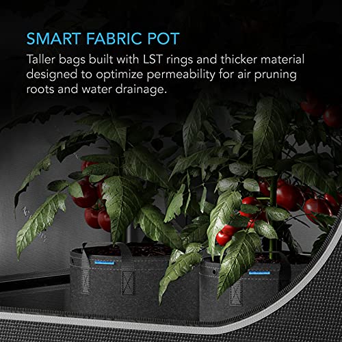 AC Infinity Heavy-Duty 500G Fabric Pots, 5 Gallon Grow Bags 5-Pack - size: 5 Gallon