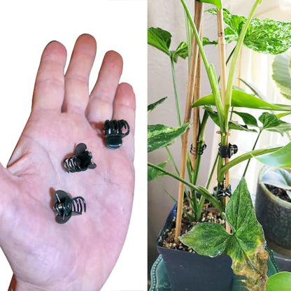 Plant Clips, Orchid Clips Plant Orchid Support Clips Flower and Vine Clips for Supporting Stems Vines Grow Upright Green 50PCS