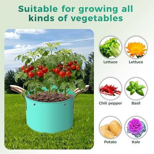 7 Pcs 1 Gallon Grow Bags, PE Garden Pots with Handles for Plants - size: 1 gallon, style: PE_Grow_Bags