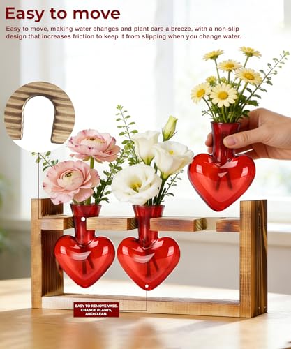 Nacome Plant Terrarium with Wooden Stand, 3 Heart Bulb Glass Vases - color: Red