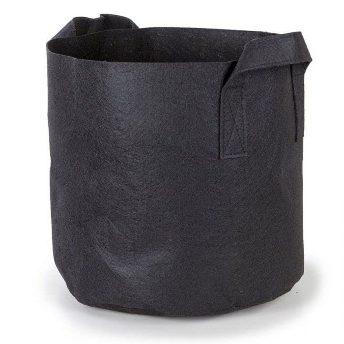 247Garden 5-Pack 1-Gallon Aeration Fabric Pot/Plant Grow Bag w/Handles (260 GSM, Black, 6H x 7D) - color: Black, size: 1 Gallon