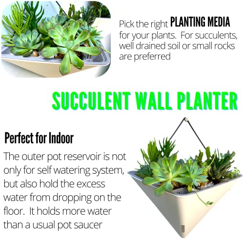 LaLaGreen Wall Planters for Indoor Plants (12in, 2 Pack) White Planter - color: White X 2 Pack