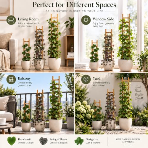 Plant Trellis Indoor 31" Wood Climbing Support for Hoya Pothos, Ivy & Vines - size: 31" H