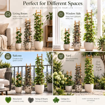 Plant Trellis Indoor 31" Wood Climbing Support for Hoya Pothos, Ivy & Vines - size: 31" H