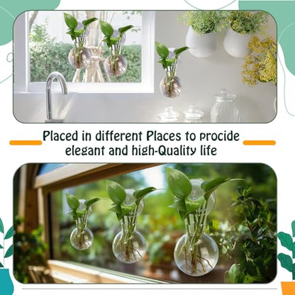 Baderke 12 Pack Suction Cup Vase, Window Propagation Glass Planter, Bulb