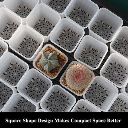 60 Pack 1.95 Inch Tiny Clear Plastic Square Nursery and Seedling Pot, Mini Deep Transplant Seed Starter Planter with Drain Hole for Germination, Herb, Succulent - color: Clear