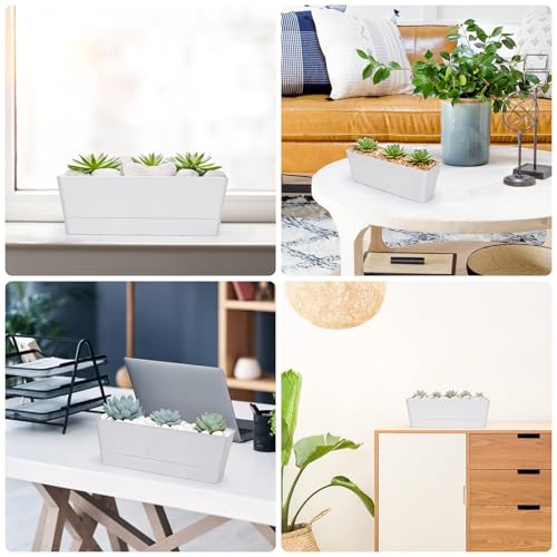 GREANER 12x3.8 Inch Herb Planters, 6 Pack White Rectangle Window Boxes with Tray, Indoor Succulent Cactus Mint Plastic Pot with Saucer for Windowsill, Balcony, Office, Outdoor Garden - size: 6Packs/12x3.8in