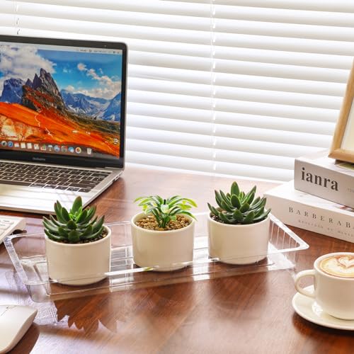 SiliFine 20 Pcs Clear Plastic Plant Saucer Rectangular Plant Drip Trays